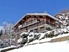 Le Grand Bornand Village - Résidence Bourdaine - Apartment - 4 people - 1 room - Photo N°1