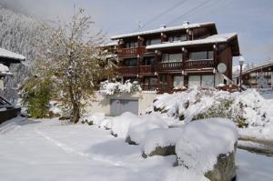 Argentière - Résidence Verte - Apartamento - 4 personas - 1 cuarto - Foto N°1