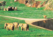 Le parc animalier de Cabárceno à 30 km