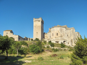 De abdij van Montmajour
