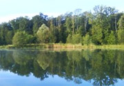 The Barat pond of Bourbonne les Bains