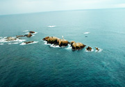 The Formigues Islands - 13 km