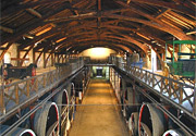 La cantina del castello di Colombiers