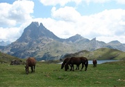 Der Nationalpark der Pyrenäen
