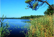 La reserva natural del estanque de Cousseau (a 3 km) 