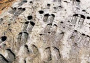 The engraved stones of Lanslevillard