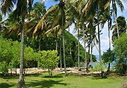 Parco Nazionale Basse-Terre