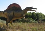 The Dinosaur Park Museum 6 km away