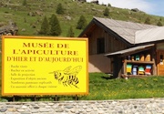 Het bijenteeltmuseum