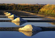 The salt marshes of Guérande - 12 km