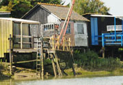 Oyster shacks