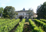 De kastelen van Bordeaux