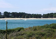 Men's Beleg Beach 