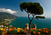 Amalfiküste & Italiens berühmteste Pinie