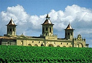The surrounding vineyards