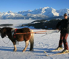 Esquí-Joëring con caballo y poni