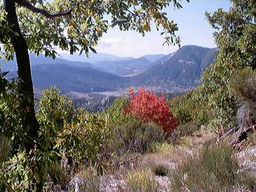 Alpes de Haute Provence