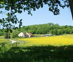 Bourbonne les Bains