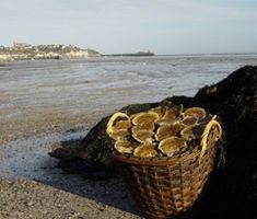 Cancale