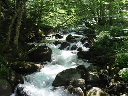 Hautes Pyrénées