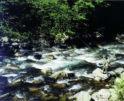 Hautes Pyrénées