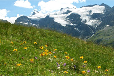 Vente privée Résidence les Balcons de la Vanoise 3* – Les glaciers de la Vanoise 