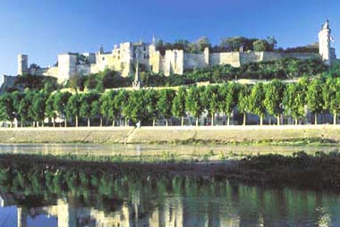 Vente privée Le Domaine Saint Hilaire – Château de Chinon - 17 km