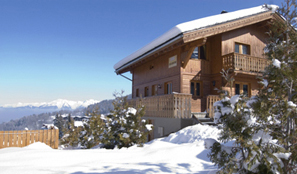 Vente privée : La Tania : chalets au pied des pistes