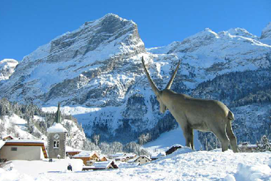 Vente privée Résidence Les Jardins de la Vanoise 4* – Vue sur le village de Pralognan la Vanoise