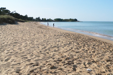 Vente privée Résidence Les Sables Vignier – La plage de Saint Georges d'Oléron