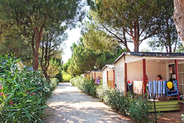 Vente privée Camping Le Domaine de la Pinède – Le Camping Le Domaine de la Pinède