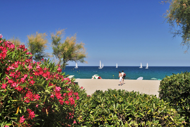 Vente privée Camping Le Domaine de la Pinède – La plage d'Argeles sur Mer - 3 km