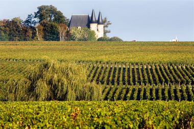 Vente privée Résidence Capdeville – Les vignobles du Médoc