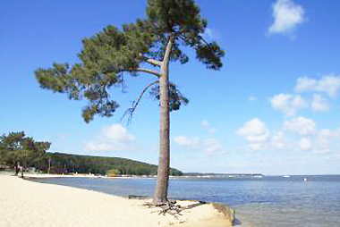 Vente privée Résidence Les Hameaux de l'Océan – La plage de Carcans à 100 m