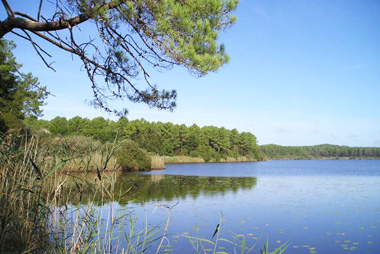 Vente privée Résidence Les Hameaux de l'Océan – Réserve Naturelle de l'étang de Cousseau - 10 km