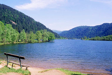 Vente privée Résidence Les Myrtilles – Le lac de Longemer à deux pas