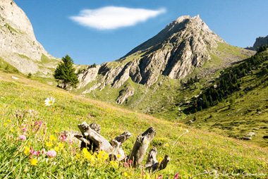 Vente privée Résidence Belle Vue – le Parc National de la Vanoise - 42 km