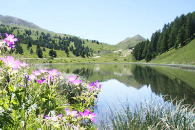 Vente privée Résidence Les Myrtilles – Vars et ses lacs d'altitude