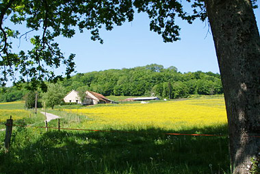 Vente privée Hôtel du Lac La Mézelle – Bourbonne les bains - Campagne Champenoise