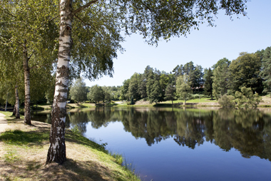 Vente privée Résidence le Domaine du Bosquet 3* – Lac Deiro à deux pas