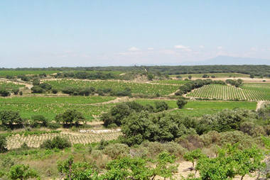 Vente privée Résidence Les Rives du Lac – Les vignobles alentours