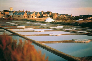 Vente privée Résidence Maeva La Baie – Les marais salants de Guérande - 8 km