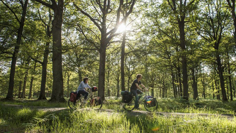 Vente privée Camping 3* Le Lizot – Ou en vélo dans la forêt environnante