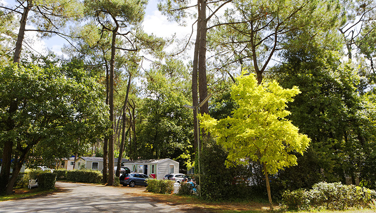 Vente privée Camping 4* Les Biches – Les allées du camping calmes et discrètes