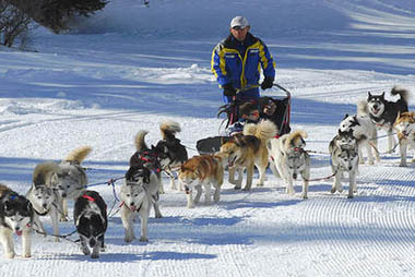 Vente privée Résidence Le Critérium 3* – Activités hivernales