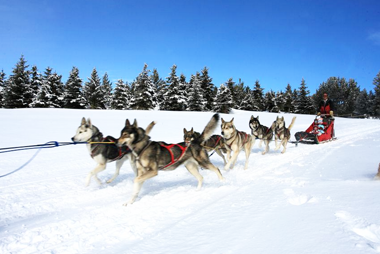 Vente privée Résidence Les Chalets du Belvédère 3* – Activités sportives hivernales