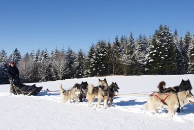 Vente privée Résidences Sogenor – Rencontre avec les mushers (tous les lundis)