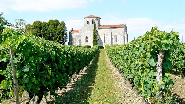 Vente privée Résidence 4* Les Coteaux de Jonzac – Le vignoble de Cognac à proximité