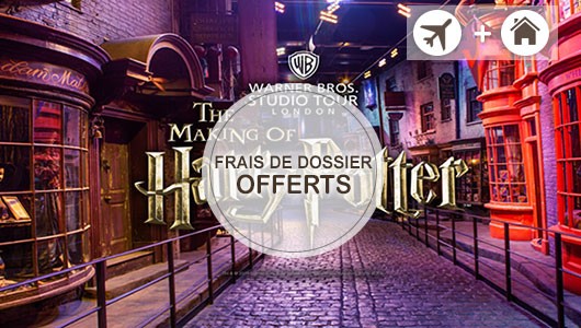 Vente privée : Harry Potter : magie à Londres
