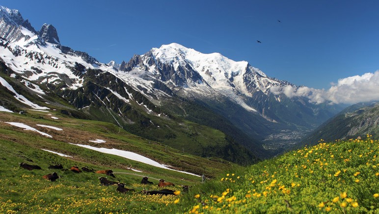 Vente privée Résidence Backgammon – Le mont Blanc, point culminant de la chaîne des Alpes